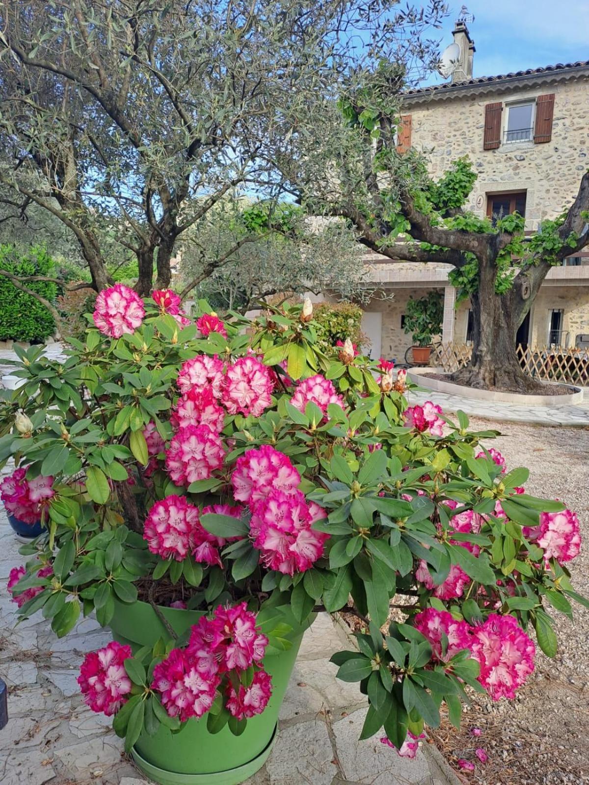 אובנה Gite 2 "Le Tilia " Aux Magnolias 3 Etoiles מראה חיצוני תמונה